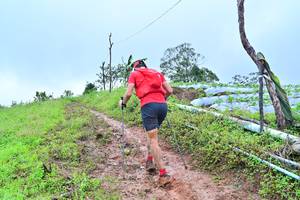 BIB: 1232
                            <button type="button" onclick="openModal(13378675)" class="btn btn-primary btn-sm float-right btn-popup" data-toggle="modal" data-target=".modal-high-quality">
                        <i class="fas fa-shopping-cart"></i> Add to Cart
                    </button>
                                            <button type="button" onclick="isThisMe(13378675, true)" class="btn btn-success btn-sm float-right btn-popup btn-isme hidden" data-toggle="tooltip" data-placement="bottom" title="นี่คือรูปของคุณใช่ไหม คลิกที่นี่เพื่อเอาเข้าอัลบั้ม">
                        <i class="fas fa-plus"></i> Add to album
                    </button>
                    <button type="button" onclick="isThisMe(13378675, false)" class="btn btn-warning btn-sm float-right btn-popup btn-isnotme hidden">
                        <i class="fas fa-ban"></i> Remove from album
                    </button>